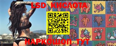 шишки Кингисепп
