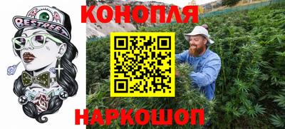 шишки Кингисепп
