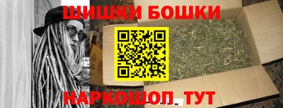 шишки Кингисепп