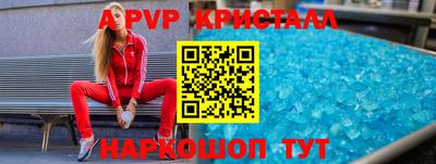 шишки Кингисепп