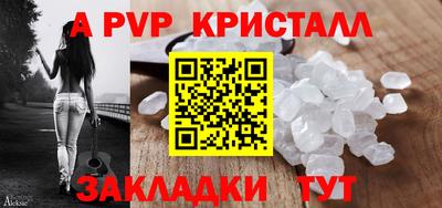 шишки Кингисепп