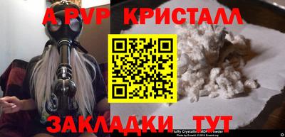 шишки Кингисепп