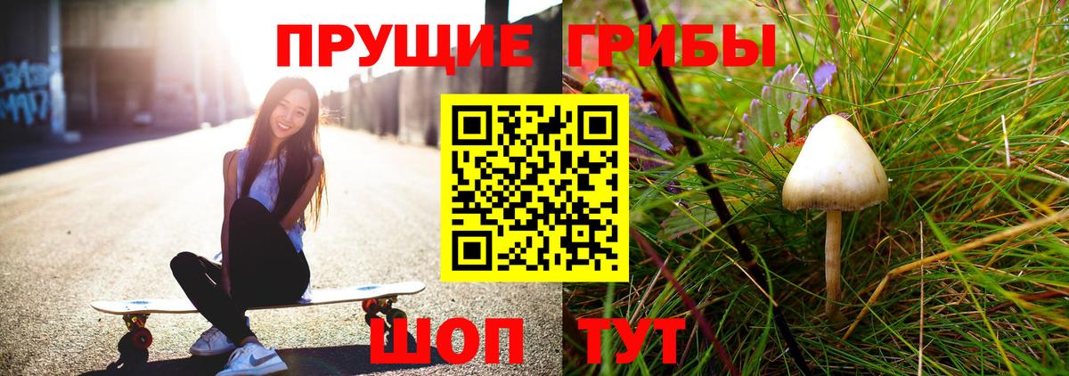 Псилоцибиновые грибы Psilocybine cubensis  Вход с VPN  Бирск 
