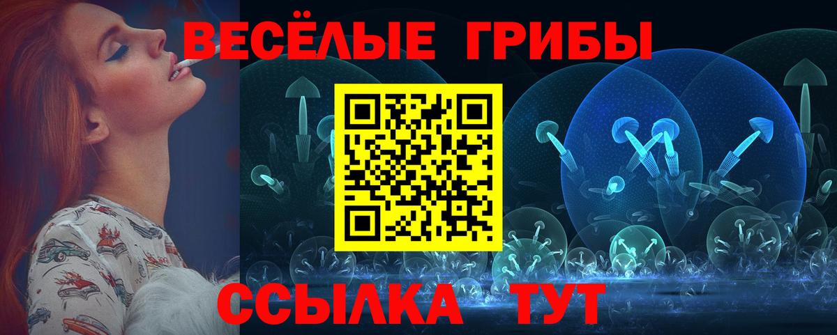 Псилоцибиновые грибы GOLDEN TEACHER Бирск